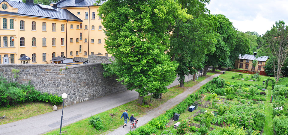 Parkmiljö på Långholmen