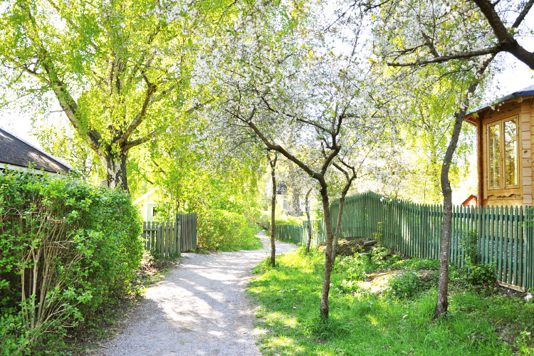 Parkväg på ön Långholmen Parkväg på ön Långholmen