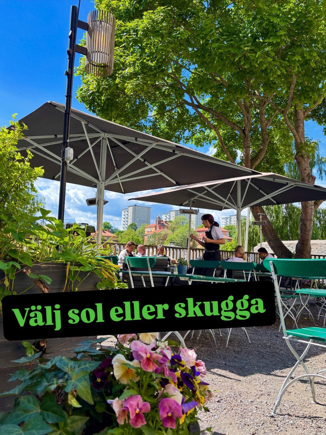 Välj sol eller skugga i parken